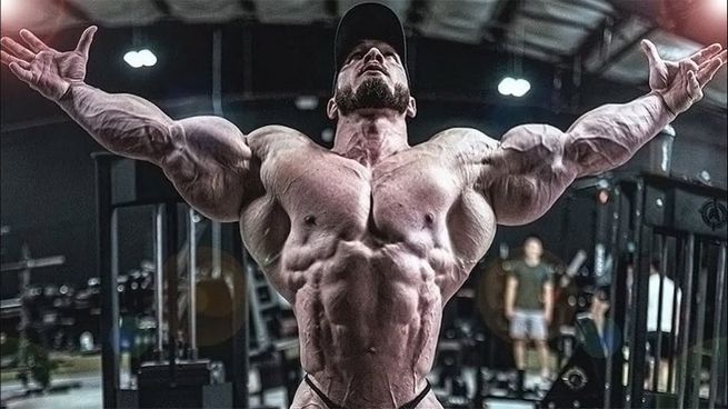 Die Top Steroid-Händler in Deutschland 2023: Rankings und Bewertungen